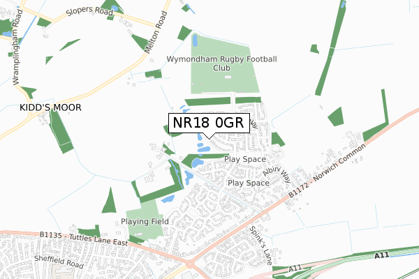 NR18 0GR map - small scale - OS Open Zoomstack (Ordnance Survey)