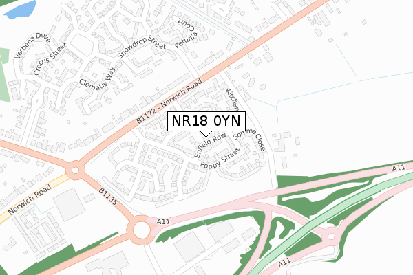 NR18 0YN map - large scale - OS Open Zoomstack (Ordnance Survey)