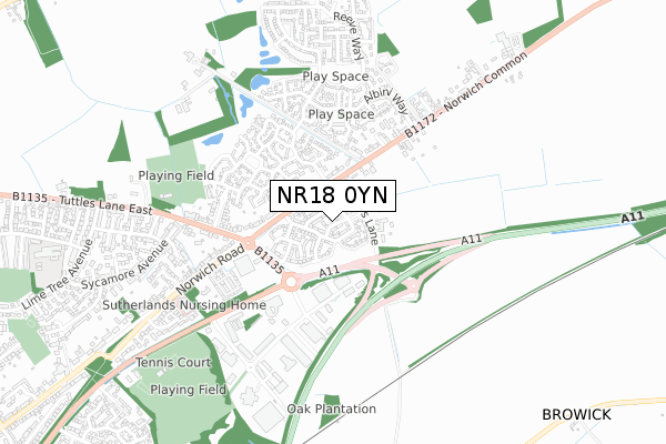 NR18 0YN map - small scale - OS Open Zoomstack (Ordnance Survey)