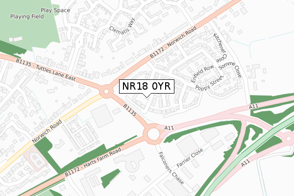 NR18 0YR map - large scale - OS Open Zoomstack (Ordnance Survey)