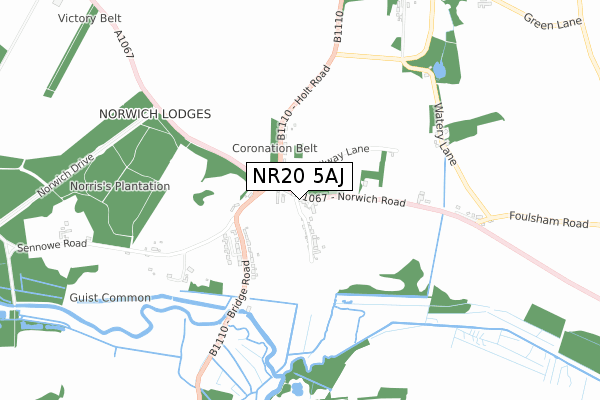 NR20 5AJ map - small scale - OS Open Zoomstack (Ordnance Survey)