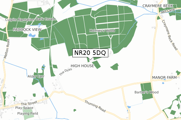 NR20 5DQ map - small scale - OS Open Zoomstack (Ordnance Survey)