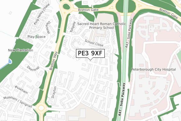 PE3 9XF map - large scale - OS Open Zoomstack (Ordnance Survey)