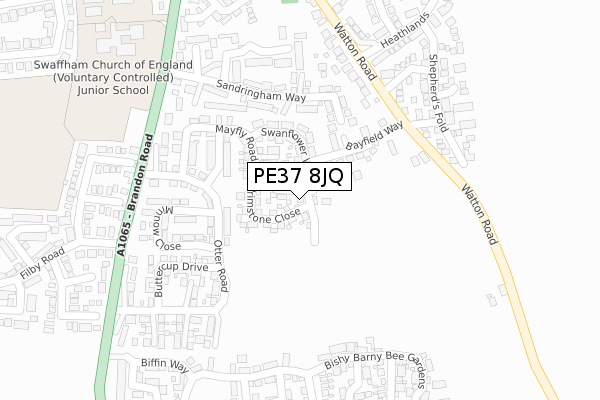 PE37 8JQ map - large scale - OS Open Zoomstack (Ordnance Survey)