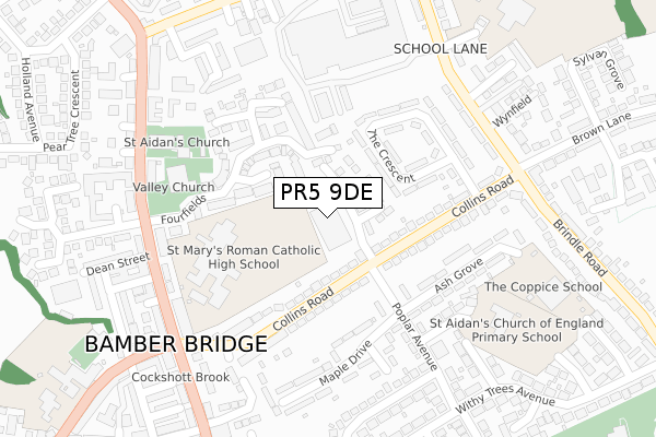 PR5 9DE map - large scale - OS Open Zoomstack (Ordnance Survey)