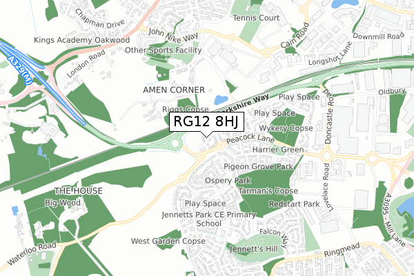 RG12 8HJ map - small scale - OS Open Zoomstack (Ordnance Survey)