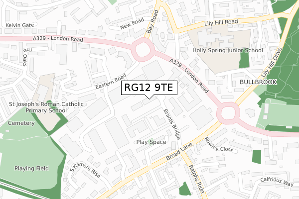 RG12 9TE map - large scale - OS Open Zoomstack (Ordnance Survey)