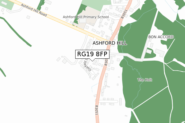 RG19 8FP map - large scale - OS Open Zoomstack (Ordnance Survey)