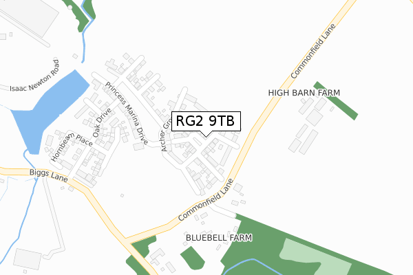 RG2 9TB map - large scale - OS Open Zoomstack (Ordnance Survey)