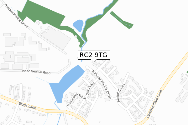 RG2 9TG map - large scale - OS Open Zoomstack (Ordnance Survey)