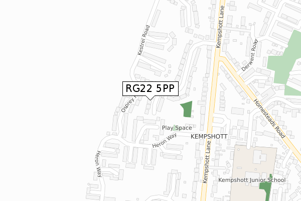 RG22 5PP map - large scale - OS Open Zoomstack (Ordnance Survey)