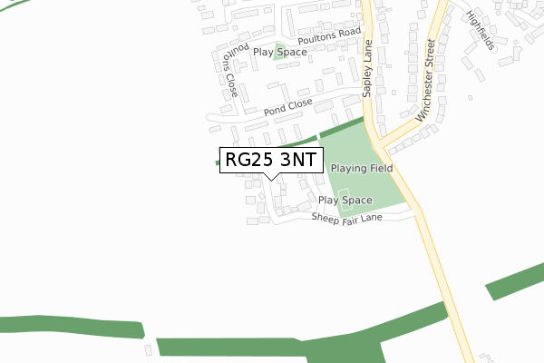 RG25 3NT map - large scale - OS Open Zoomstack (Ordnance Survey)