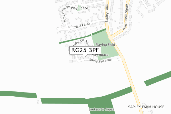 RG25 3PF map - large scale - OS Open Zoomstack (Ordnance Survey)