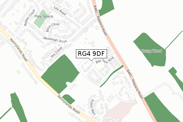 RG4 9DF map - large scale - OS Open Zoomstack (Ordnance Survey)