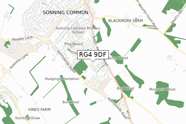 RG4 9DF map - small scale - OS Open Zoomstack (Ordnance Survey)