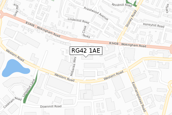 RG42 1AE map - large scale - OS Open Zoomstack (Ordnance Survey)