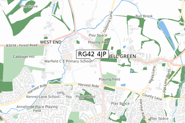 RG42 4JP map - small scale - OS Open Zoomstack (Ordnance Survey)