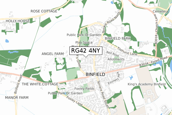 RG42 4NY map - small scale - OS Open Zoomstack (Ordnance Survey)