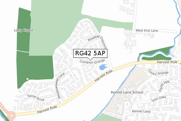 RG42 5AP map - large scale - OS Open Zoomstack (Ordnance Survey)