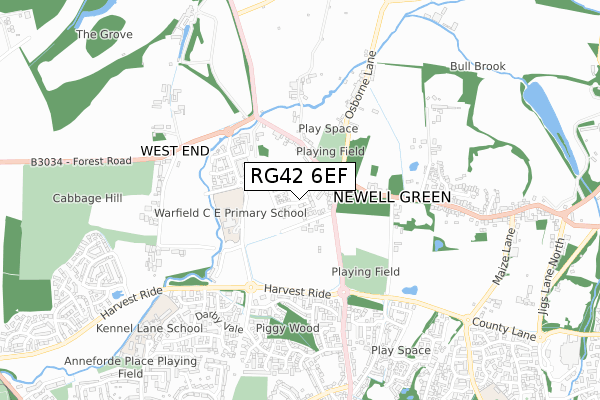 RG42 6EF map - small scale - OS Open Zoomstack (Ordnance Survey)