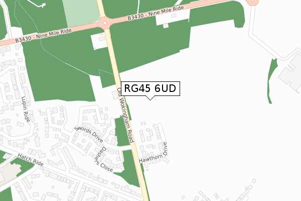 RG45 6UD map - large scale - OS Open Zoomstack (Ordnance Survey)