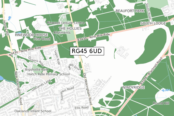 RG45 6UD map - small scale - OS Open Zoomstack (Ordnance Survey)