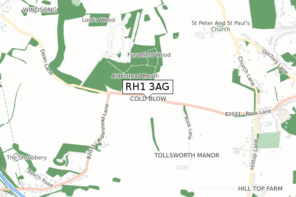 RH1 3AG map - small scale - OS Open Zoomstack (Ordnance Survey)