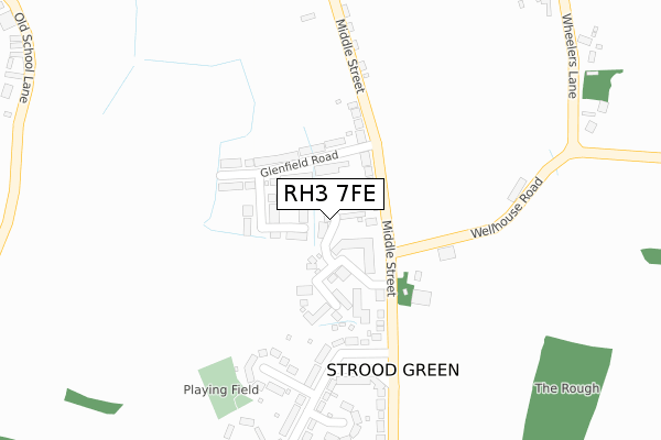 RH3 7FE map - large scale - OS Open Zoomstack (Ordnance Survey)