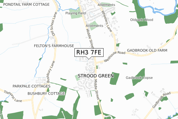 RH3 7FE map - small scale - OS Open Zoomstack (Ordnance Survey)