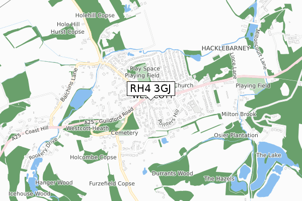 RH4 3GJ map - small scale - OS Open Zoomstack (Ordnance Survey)