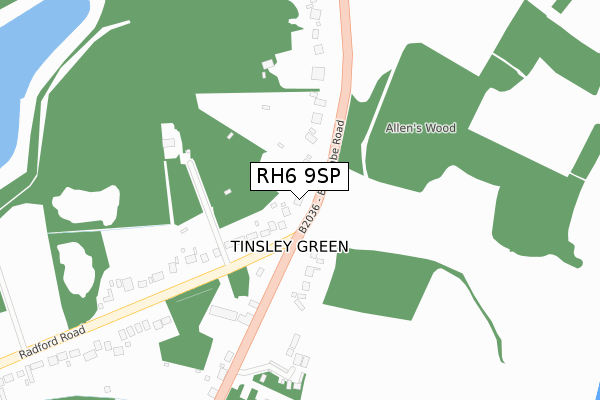 RH6 9SP map - large scale - OS Open Zoomstack (Ordnance Survey)