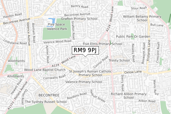 RM9 9PJ map - small scale - OS Open Zoomstack (Ordnance Survey)