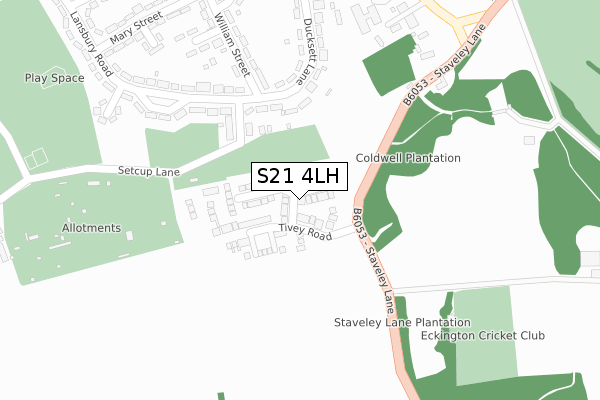 S21 4LH map - large scale - OS Open Zoomstack (Ordnance Survey)