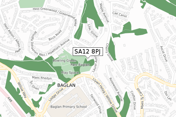 SA12 8PJ map - large scale - OS Open Zoomstack (Ordnance Survey)