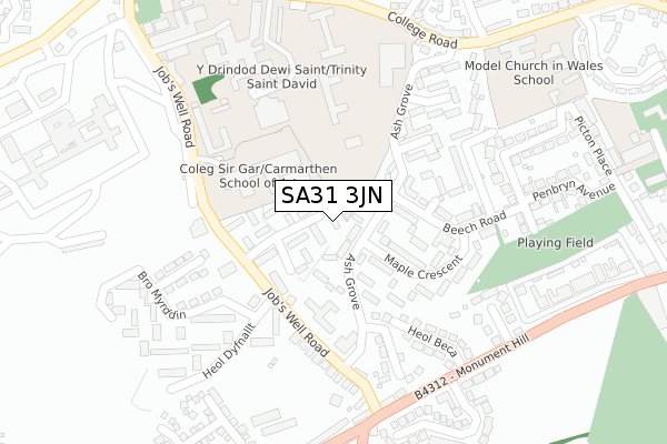 SA31 3JN map - large scale - OS Open Zoomstack (Ordnance Survey)