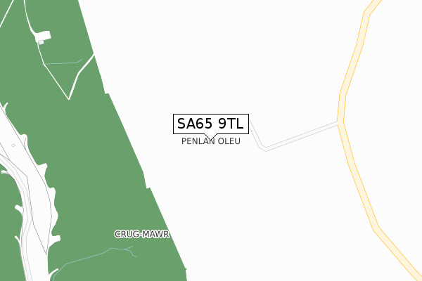 SA65 9TL map - large scale - OS Open Zoomstack (Ordnance Survey)