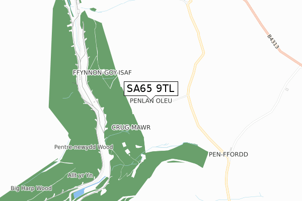 SA65 9TL map - small scale - OS Open Zoomstack (Ordnance Survey)