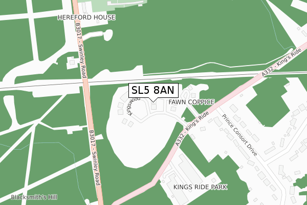 SL5 8AN map - large scale - OS Open Zoomstack (Ordnance Survey)