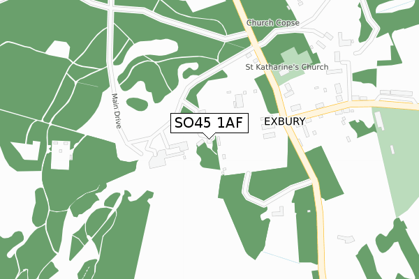 SO45 1AF map - large scale - OS Open Zoomstack (Ordnance Survey)