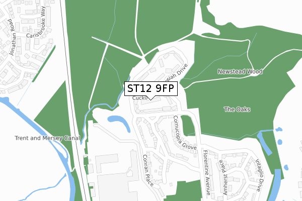 ST12 9FP map - large scale - OS Open Zoomstack (Ordnance Survey)