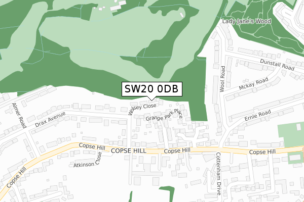 SW20 0DB map - large scale - OS Open Zoomstack (Ordnance Survey)
