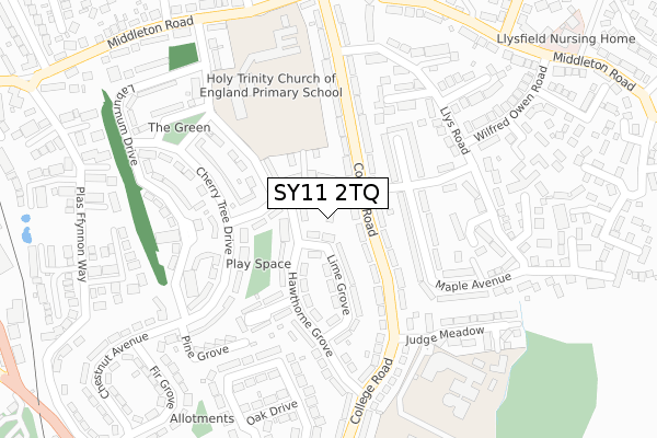 SY11 2TQ map - large scale - OS Open Zoomstack (Ordnance Survey)