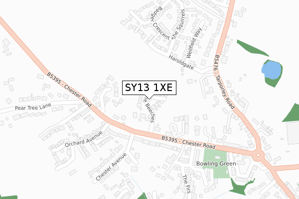 SY13 1XE map - large scale - OS Open Zoomstack (Ordnance Survey)