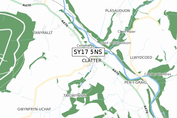 SY17 5NS map - small scale - OS Open Zoomstack (Ordnance Survey)