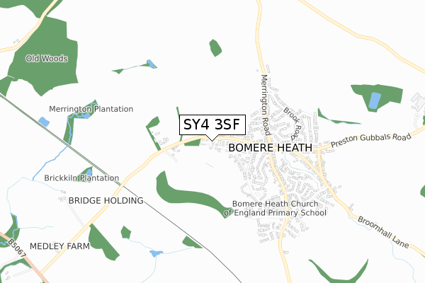 SY4 3SF map - small scale - OS Open Zoomstack (Ordnance Survey)