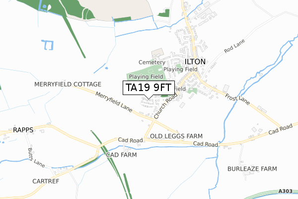 TA19 9FT map - small scale - OS Open Zoomstack (Ordnance Survey)