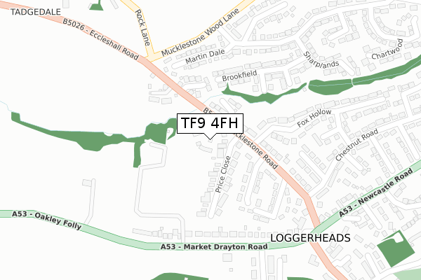 TF9 4FH map - large scale - OS Open Zoomstack (Ordnance Survey)