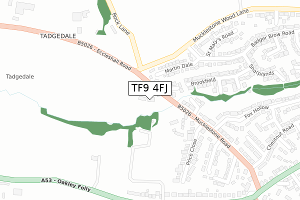 TF9 4FJ map - large scale - OS Open Zoomstack (Ordnance Survey)