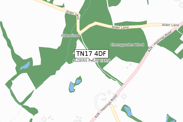 TN17 4DF map - large scale - OS Open Zoomstack (Ordnance Survey)