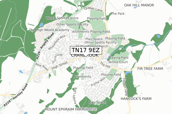 TN17 9EZ map - small scale - OS Open Zoomstack (Ordnance Survey)